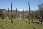 Sandro Veronesi, Andrea M.N. Mati, La serra dei Poeti, parco di Villa Celle, Santomato, Pistoia, © Fattoria di Celle – Collezione Gori, ph. Serge Domingie