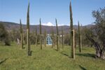 Sandro Veronesi, Andrea M.N. Mati, La serra dei Poeti, parco di Villa Celle, Santomato, Pistoia, © Fattoria di Celle – Collezione Gori, ph. Serge Domingie