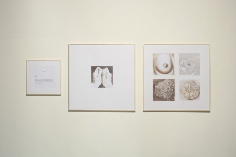 Adriano Altamira. Conceptual Rigoletta. Installation view at Fondazione Marconi, Milano 2018