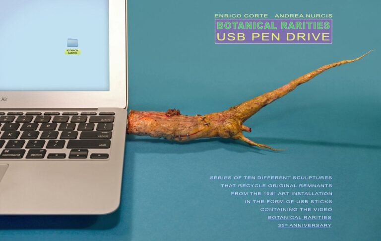 Andrea Nurcis & Enrico Corte, Botanical Rarities Pen Drive, 1981-2015