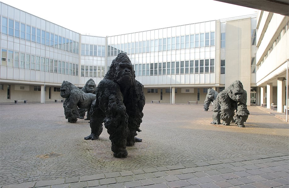 I gorilla del Tribunale di Ravenna fanno paura? Riflessioni sulle sculture di Davide Rivalta