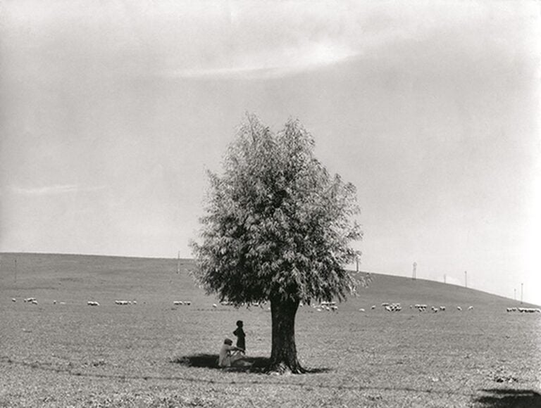 Fulvio Roiter, L'uomo e l'albero, 1950 © Archivio Storico Circolo Fotografico La Gondola Venezia
