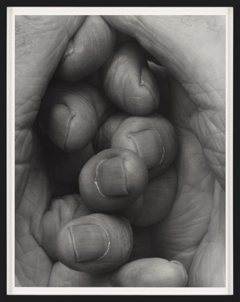 John Coplans, Interlocking Fingers, No 16, 2000 © The John Coplans Trust. Courtesy The John Coplans Trust, Galerie Nordenhake Berlin Stockholm, P420, Bologna