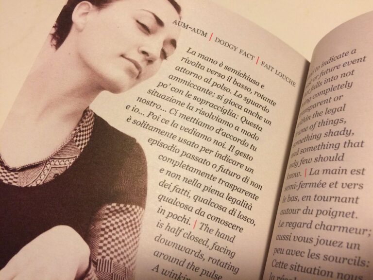 Lilia Angela Cavallo – Il Dizionario dei Gesti (Iacobelli Editore, Roma 2017)