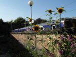 Edge Hill Station Garden at Metal, Liverpool