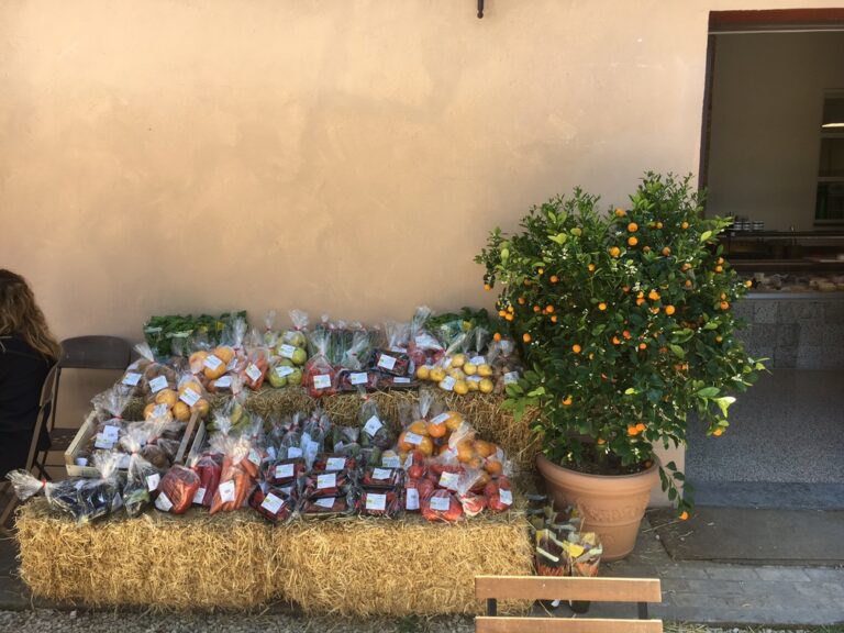 FloraCult 2018
