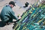 Julian Beever, Dancing Butterflies in Rome, McArthurGlen Designer Outlet di Castel Romano