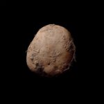 Kevin Abosch, Potato #345, 2010. Collezione privata