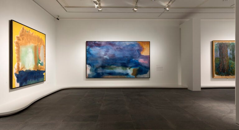 The Water Lilies: American Abstract Painting and the last Monet