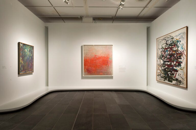 The Water Lilies: American Abstract Painting and the last Monet