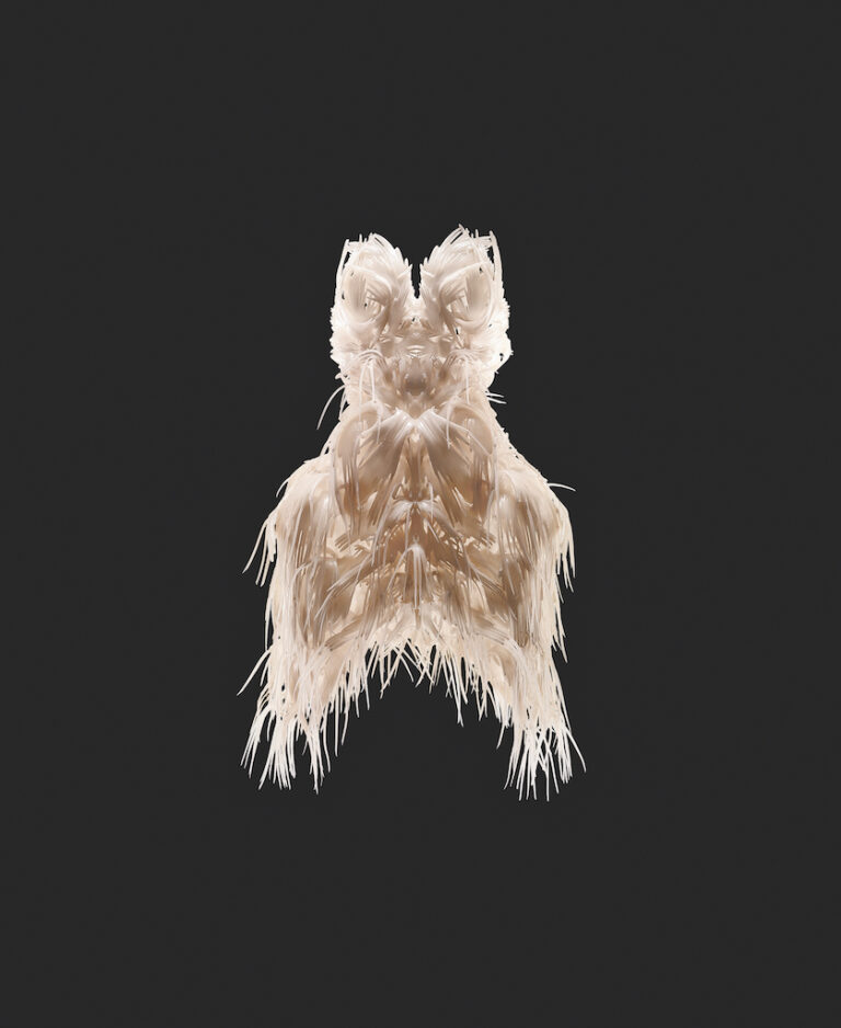 Iris van Herpen