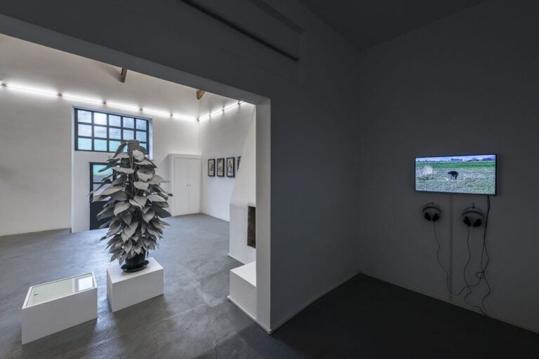 Paradiso. Exhibition view at AlbumArte, Roma 2018