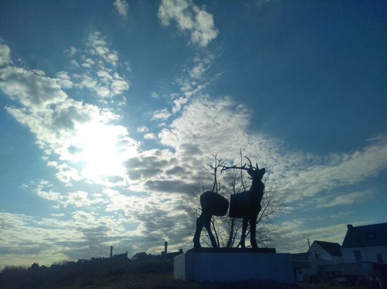 Stief DeSmet, Monument for Cervus Vitalis #2 (Malus Sylvestris), 2015, Adinkerke, De Panne. Photo Daniele Perra