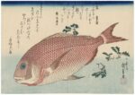 Utagawa Hiroshige, Pagro e pepe nero giapponese, dalla serie Grandi pesci, 1832-33 ca. Museum of Fine Arts, Boston William Sturgis Bigelow Collection