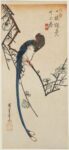 Utagawa Hiroshige, Uccello del paradiso e susino in fiore, 1830-35 ca. Museum of Fine Arts, Boston - William Sturgis Bigelow Collection
