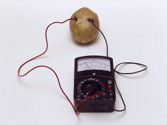 Víctor Grippo, Energy of a Potato (or Untitled or Energy), 1972. Tate © The estate of Victor Grippo
