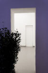 Studio Volante ph Mattia Morelli