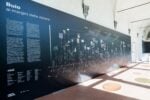 Museo Novecento, Firenze 2018. Progetto The Wall