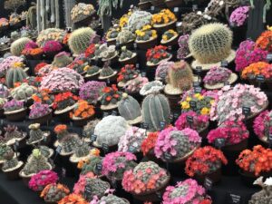 Arte in fiore a Londra. Il report e le immagini del Chelsea Flower Show