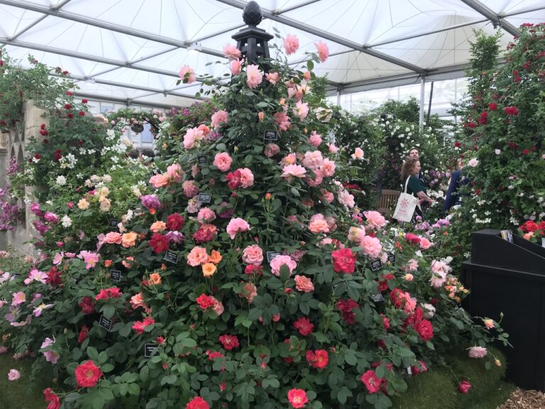 Chelsea Flower Show 2018