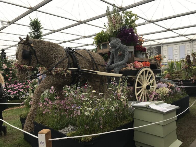 Chelsea Flower Show 2018