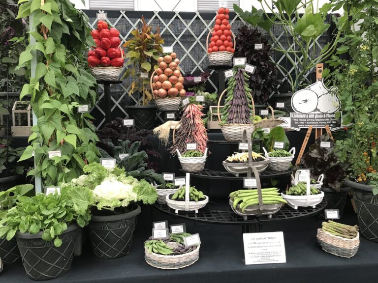 Chelsea Flower Show 2018