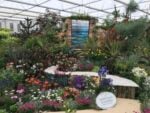 Chelsea Flower Show 2018