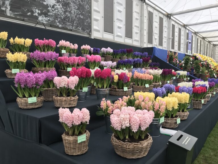 Chelsea Flower Show 2018