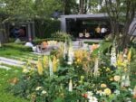 IMG 4980 Arte in fiore a Londra. Il report e le immagini del Chelsea Flower Show