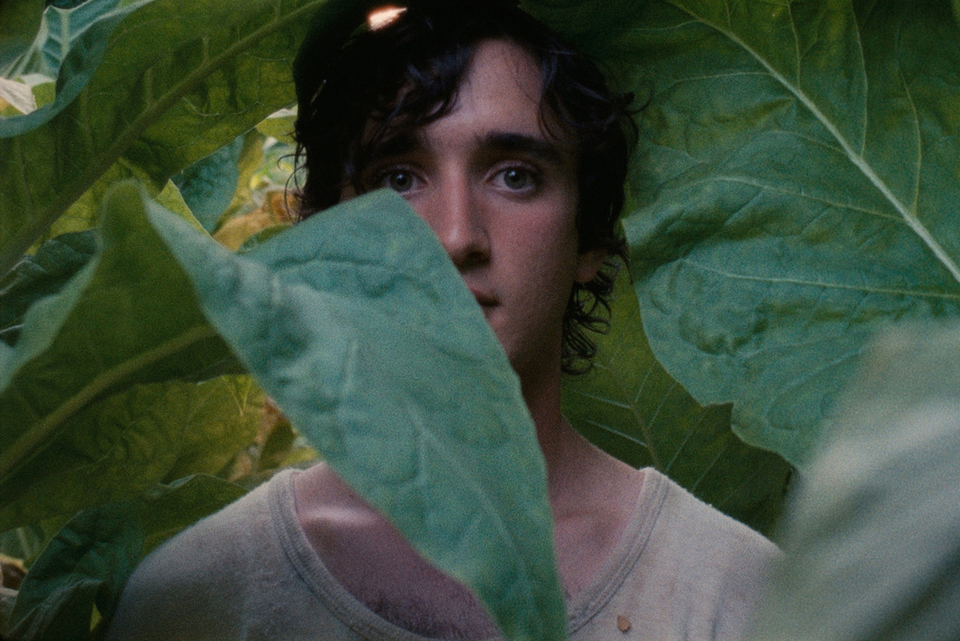 Da Cannes 2018: Lazzaro Felice, il film bislacco e aperto di Alice Rohrwacher