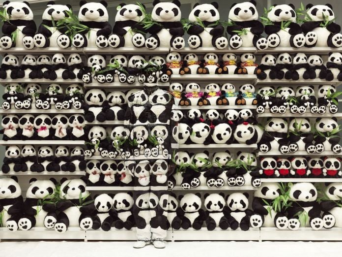 Liu Bolin, Shelves. Panda, 2011. Courtesy Boxart, Verona