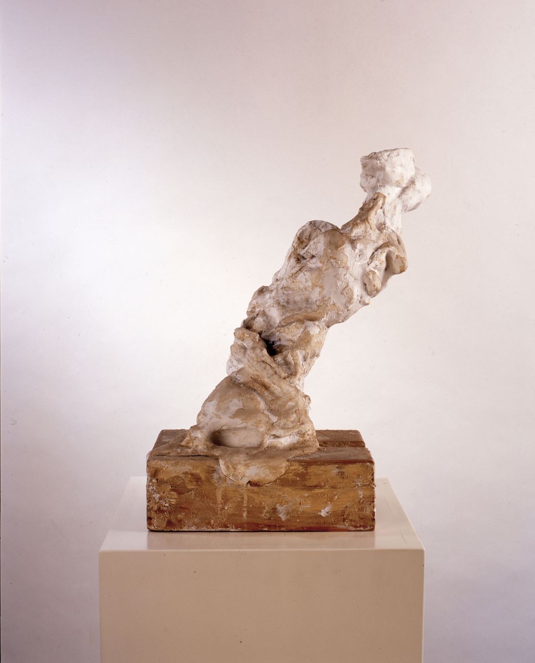 Martin Disler, Figura bianca, 1988. MASI, Lugano. Donazione Giancarlo e Danna Olgiati