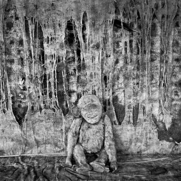 Roger Ballen, Pathos, 2005. Collezione privata, Francia