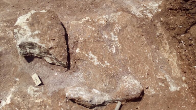 Scavi archeologici in Contrada San Nicola Giglia, Ragusa, necropoli bizantina