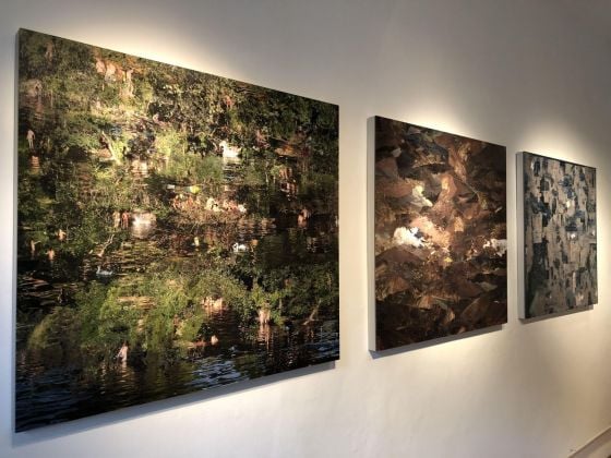 Steve Sabella. Wavelengths. Exhibition view at Metroquadro, Torino 2018