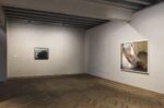 Torbjørn Rødland. The Touch That Made You. Exhibition view at Fondazione Prada Osservatorio, Milano 2018. Courtesy Fondazione Prada. Photo Andrea Rossetti. A sx, Avocado, 2013. A dx, First Abduction Attempt, 2014-16