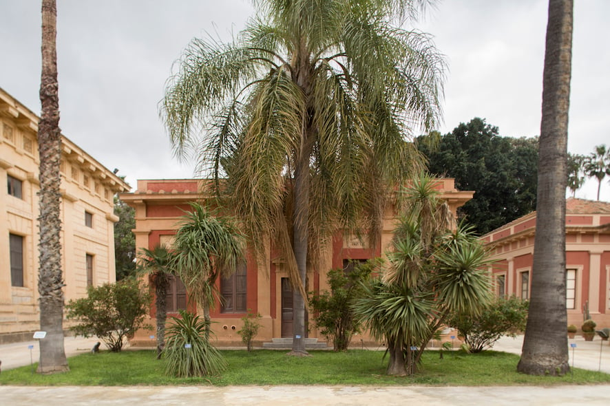 Radiceterna, biblioteca d’arte e natura creata per l’Orto Botanico di Palermo durante Manifesta