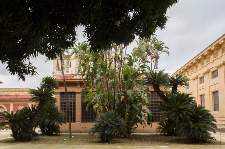 img 7135 Radiceterna, biblioteca d’arte e natura creata per l’Orto Botanico di Palermo durante Manifesta