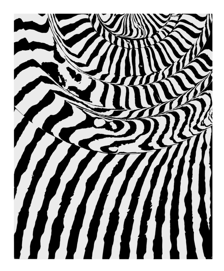 FRANCO GRIGNANI Grafia spiraliforme e rigatura parallela, 1963 sperimentale ottico ai sali di bromuro d’argento, 29,8x24,1 cm courtesy 10 A.M.ART, Milano