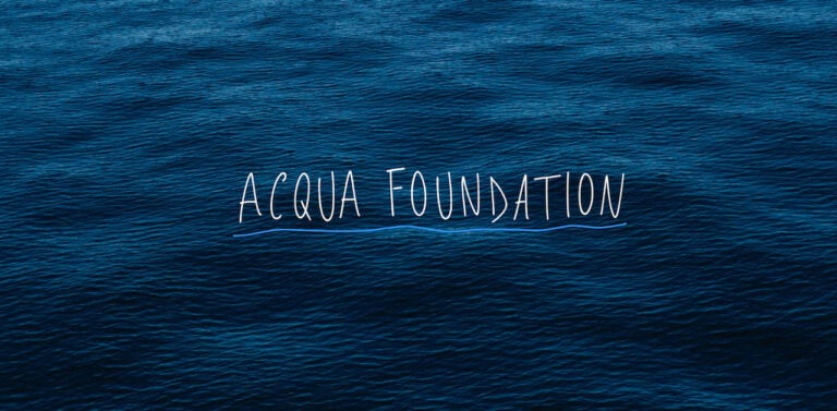 Acqua Foundation