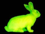 Alba il coniglio verde fluorescente di Eduardo Kac Quando l’arte è viva. Letteralmente