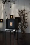 Alessandra Calò. Secret Garden. Installation view at Cubo Gallery, Parma 2018