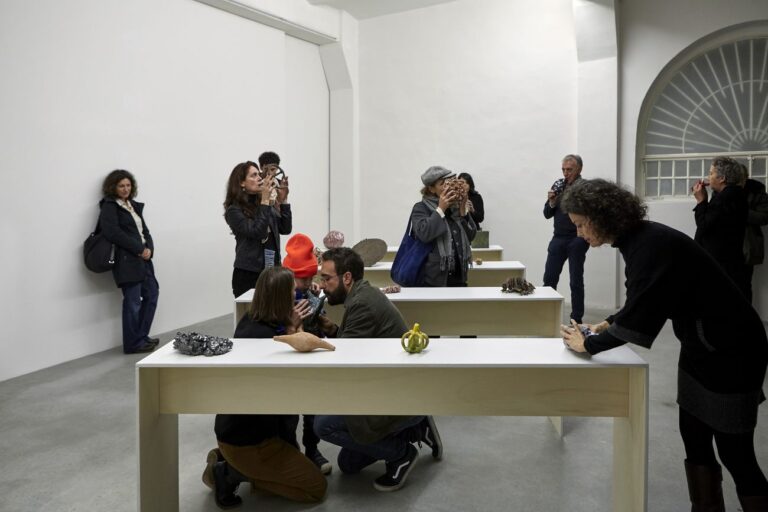 Chiara Camoni, The story always come later, 2016, exhibition view, SpazioA, Pistoia
