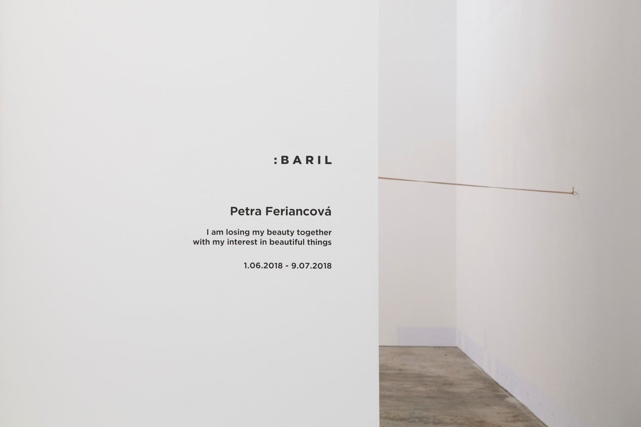I am losing my beauty, Petra Feriancova Baril 2018