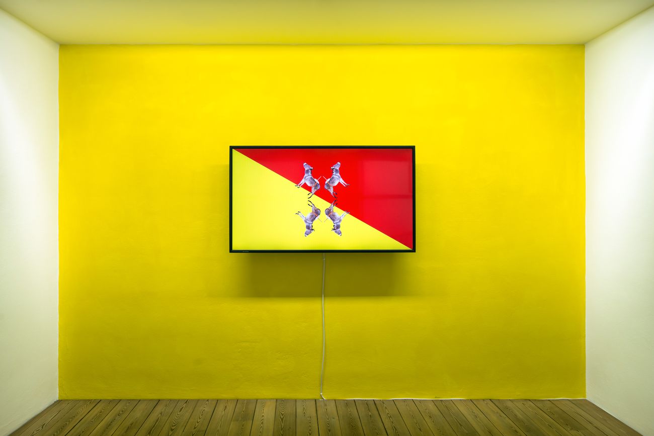 Ingrid Hora, Le asinelle, 2018. Courtesy the artist. Photo Ivo Corrà