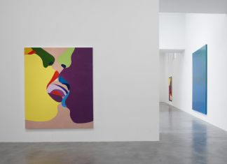 Installation view True Colours, Courtesy Newport Street Gallery
