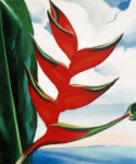 NYBG Georgia OKeeffe Heliconia Le opere della grande pittrice Georgia O’Keeffe in mostra al New York Botanical Garden