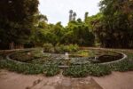 Orto Botanico, Palermo. (c) Manifesta. Photo CAVE Studio