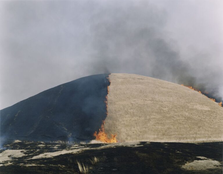 Rinko Kawauchi, Untitled, dalla serie Ametsuchi, 2012 © Rinko Kawauchi, Prix Pictet 2017