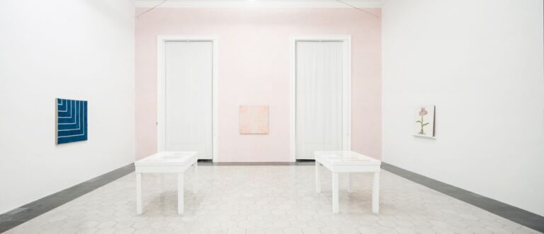 Yto Barrada. The Dye Garden. Exhibition view, American Academy in Rome, 2018. Courtesy Pace Gallery. Photo Altrospazio